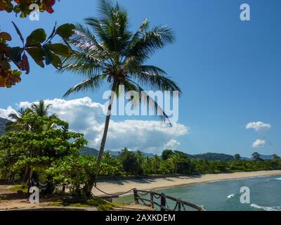 Tropischen Küste mit Blick auf Palmen, Strand und Steine in Südchina im Sommer. Stockfoto