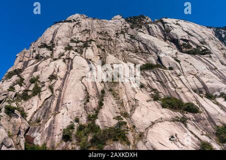 Seltsam geformte Felsen an einem sonnigen Tag während der Frühlingszeit. Landschaft des Huangshan-Gebirges in China Stockfoto