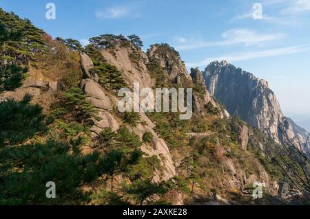 Seltsam geformte Felsen an einem nebligen Tag im Frühling. Landschaft des Huangshan Berg in China Stockfoto