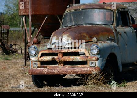 Alter Chevrolet-Pickup-Truck und landwirtschaftliche Geräte auf einem Kürbisfeld im Sonoma County, Kalifornien, USA Stockfoto