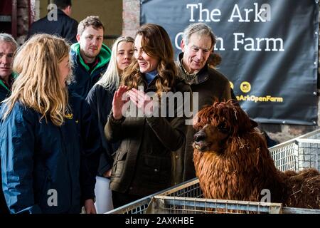 Die Duchess of Cambridge streicht bei einem Besuch der Ark Open Farm in Newtownards in der Nähe von Belfast einen Alpaka, wo sie sich mit Eltern und Großeltern traf, um ihre Erfahrungen mit der Erziehung von Kleinkindern für ihre Frühkindliche Umfrage zu besprechen. PA Foto. Bilddatum: Mittwoch, 12. Februar 2020. Siehe PA Story ROYAL Kate. Der Lichtbildkredit sollte lauten: Liam McBurney/PA Wire Stockfoto