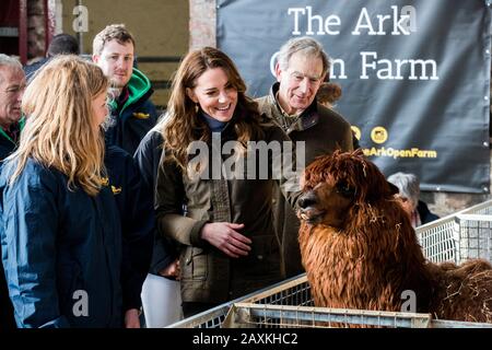 Die Duchess of Cambridge streicht bei einem Besuch der Ark Open Farm in Newtownards in der Nähe von Belfast einen Alpaka, wo sie sich mit Eltern und Großeltern traf, um ihre Erfahrungen mit der Erziehung von Kleinkindern für ihre Frühkindliche Umfrage zu besprechen. PA Foto. Bilddatum: Mittwoch, 12. Februar 2020. Siehe PA Story ROYAL Kate. Der Lichtbildkredit sollte lauten: Liam McBurney/PA Wire Stockfoto