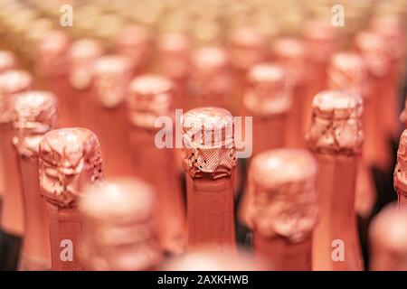 Das Muster der gleichen weißen oder goldenen Champagnerflaschen, Feier des Urlaubs Stockfoto