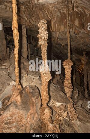 Stalagmites, Stalaktiten und Stalagnaten, Tropfsteinsäulen in der King Chamber of the Wind Cave, Gunung Mulu Nationalpark, Sarawak, Borneo, Malaysia Stockfoto