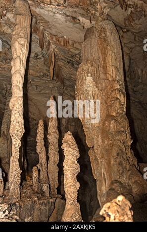 Stalagmites, Stalaktiten und Stalagnaten, Tropfsteinsäulen in der King Chamber of the Wind Cave, Gunung Mulu Nationalpark, Sarawak, Borneo, Malaysia Stockfoto