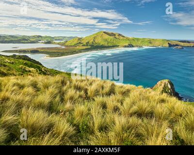 Allans Beach aus dem Sandymount Recreation Reserve, Otago, South Island, Neuseeland, Oceania Stockfoto