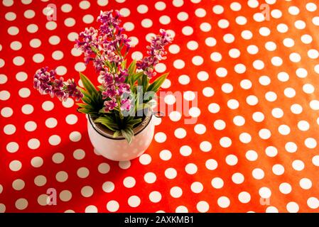 Topf mit Blumen auf einem rot-weißen Tisch im Hintergrund Stockfoto