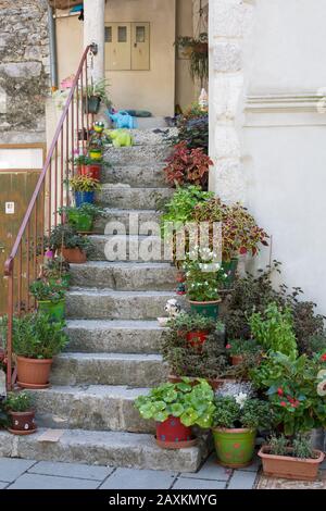 Blumentöpfe auf einer Treppe in Cres/Kroatien Stockfoto