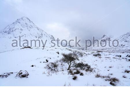 Glencoe, Schottland, Großbritannien. Februar 2020. Starke Schneefälle in den schottischen Highlands im Rannoch Moor und Glencoe sahen hier einen starken Einfluss. Credit: Craig Brown/Alamy Live News Stockfoto