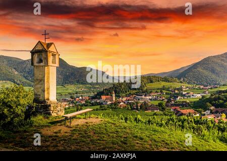 Weinberge im Wachautal auf den hängen des Donausufers. Niederöstereich. Stockfoto