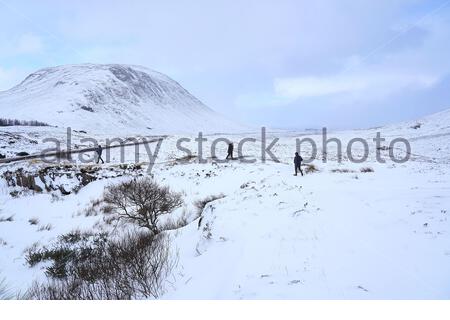 Glencoe, Schottland, Großbritannien. Februar 2020. Starke Schneefälle in den schottischen Highlands, im Rannoch Moor und Glencoe haben hier einen schweren Rückgang erlebt. Credit: Craig Brown/Alamy Live News Stockfoto