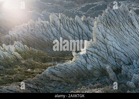 Felsformationen auf der Kaikoura-Halbinsel, Canterbury, Südinsel, Neuseeland, Oceania Stockfoto