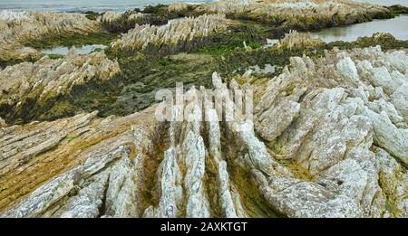 Felsformationen auf der Kaikoura-Halbinsel, Canterbury, Südinsel, Neuseeland, Oceania Stockfoto