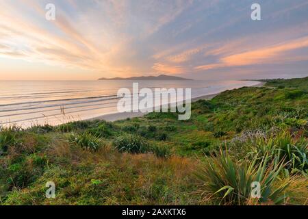 Queen Elizabeth Park, Paraparaumu, Kapiti Island, Wellington, North Island, Neuseeland, Oceania Stockfoto