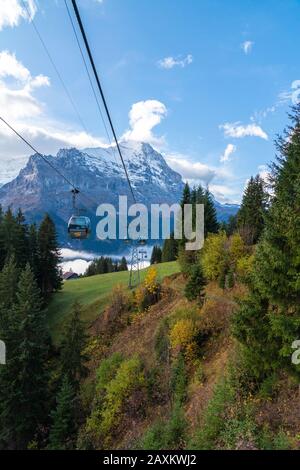 Seilbahn von Grindelwald bis Zum Ersten entlang des Waldes im Herbst, Berner Oberland, Kanton Bern, Schweiz Stockfoto