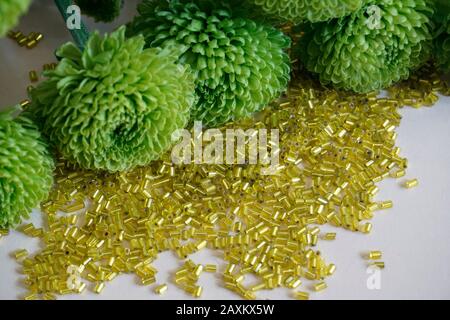 Nahaufnahme der gelben röhrenförmigen toho-perlen und des grünen Chrysanthemums auf hellem cremefarbenem Hintergrund. Perlen, die zum Embelieren von Kleidungsstücken verwendet werden. Stockfoto