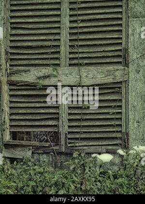 Sehenswürdigkeiten in Santana an der Wintersonnenlage von Madeira, Portugal, Europäische Union Stockfoto