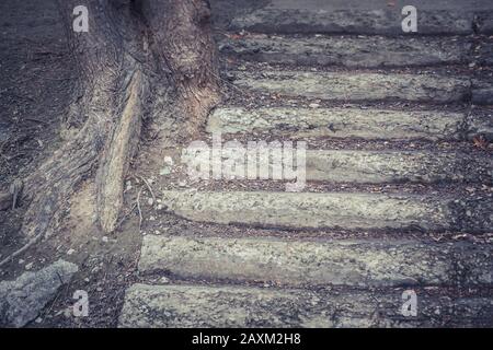 Dunkle Alte Steinbetonschabenstufen in der Nähe Stockfoto