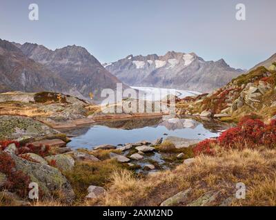 Aletschgletscher bei Bettmeralp, Wannenhorn, Wallis, Schweiz Stockfoto