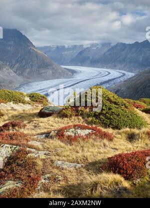 Aletschgletscher bei Bettmeralp, Wannenhorn, Wallis, Schweiz Stockfoto