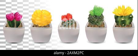 Große Sammlung 3D realistische Kakteen in Töpfen. Kakteen mit bunter Blüte. Dekorative Kakteen auf transparentem Hintergrund.Vektorsymbol.Abbildung Stock Vektor