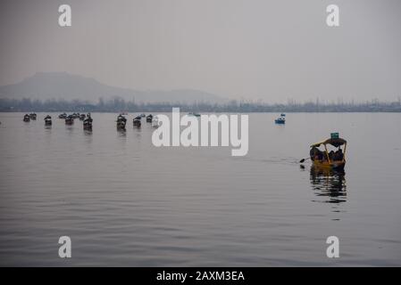 Mitglieder der Delegation ausländischer Gesandter genießen Shikara-Fahrt am Dal Lake in Srinagar.EINE neue Reihe von 25 ausländischen Gesandten aus der Europäischen Union und den Golfländern ist heute in Srinagar angekommen. Ziel des Besuches der Gesandten ist es, nach der Aufhebung von Artikel 370 im August letzten Jahres aus erster Hand über die Bodenlage zu informieren. Dies ist die zweite Tour der ausländischen Delegierten nach Jammu und Kaschmir. Die Charge umfasst Gesandte aus Deutschland, Kanada, Frankreich, Neuseeland, Mexiko, Italien, Afghanistan, Österreich, Usbekistan, Polen sowie Gesandte der Europäischen Union. Stockfoto