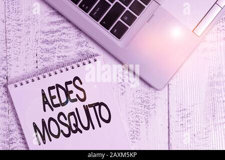 Hinweis zum Schreiben von "Aedes Mosquito". Geschäftskonzept für die Gelbfiebermücke, die Denguefieber verbreiten kann Top modischer Metallic-Laptop Blank spir Stockfoto