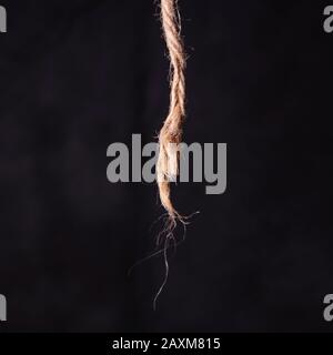 Defektes Seil auf schwarzem Grund Stockfoto