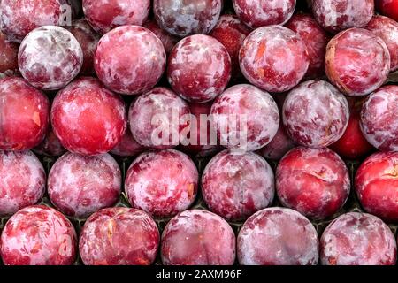 Obststall, Mallorca, Balearen, Spanien Stockfoto