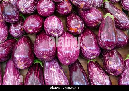 Auberginen auf dem Sonntagsmarkt in Pollenca, Mallorca, Balearen, Spanien Stockfoto