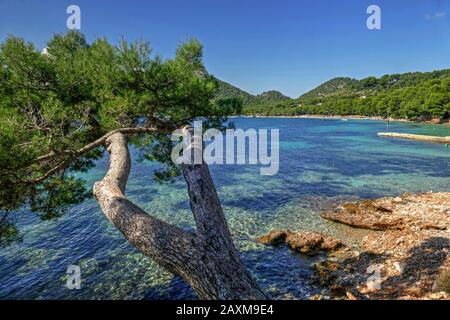 Cala Pi de la Posada in Cap de Formentor in der Nähe von Port de Pollenca, Serra de Tramuntana, Mallorca, Balearen, Spanien Stockfoto