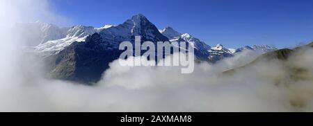 Blick von Anfang An auf Eiger und Jungfrau, Berner Alpen, Berner Oberland, Kanton Bern, Schweiz Stockfoto