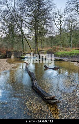 Blackpool Brook am Picknickplatz Wenchford im Forest of Dean, Gloucestershire, England. Stockfoto