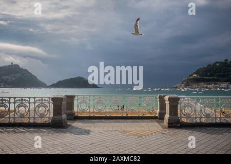 Möwe flieht über die Esplanade vor dem Meer in San Sebastián Stockfoto