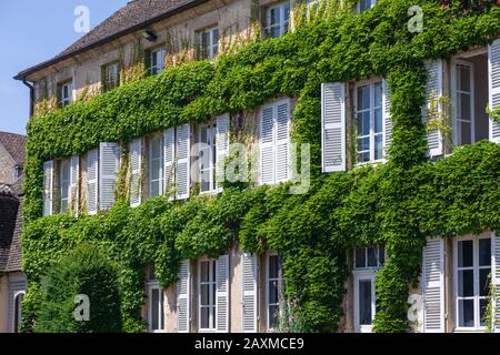 Schöne antike alte Backsteinhaus im Landhausstil Fenster mit weißen Fensterläden aus Holz, Blumen, Ranken grün Efeu bedeckt Außenwand der historischen Gebäude, Ty Stockfoto
