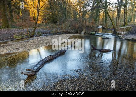 Blackpool Brook am Picknickplatz Wenchford im Forest of Dean, Gloucestershire, England. Stockfoto