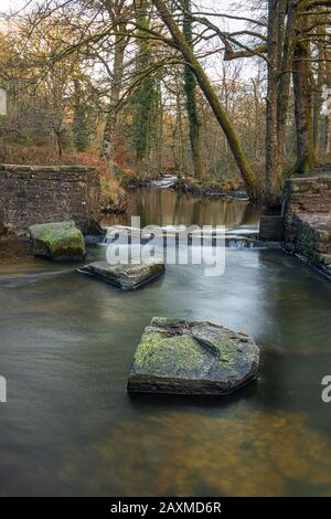 Blackpool Brook am Picknickplatz Wenchford im Forest of Dean, Gloucestershire, England. Stockfoto