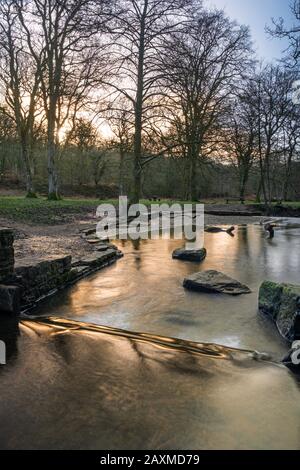 Blackpool Brook am Picknickplatz Wenchford im Forest of Dean, Gloucestershire, England. Stockfoto