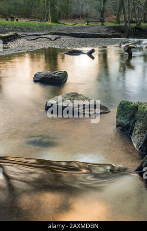 Blackpool Brook am Picknickplatz Wenchford im Forest of Dean, Gloucestershire, England. Stockfoto