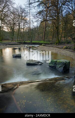 Blackpool Brook am Picknickplatz Wenchford im Forest of Dean, Gloucestershire, England. Stockfoto