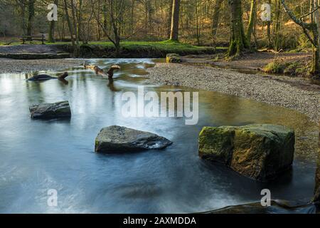 Blackpool Brook am Picknickplatz Wenchford im Forest of Dean, Gloucestershire, England. Stockfoto