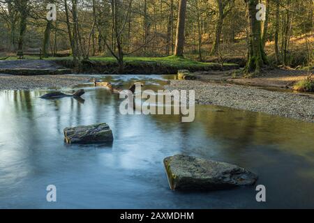 Blackpool Brook am Picknickplatz Wenchford im Forest of Dean, Gloucestershire, England. Stockfoto