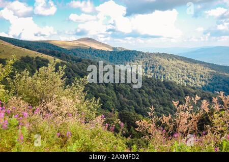 Berge Karpaten im Sommer mit Wald bedeckt, Filter Stockfoto