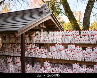 Im Garten im Freien sitzen Tonnen von Maneki-Neko Cat-Figuren auf dem Regal. Stockfoto