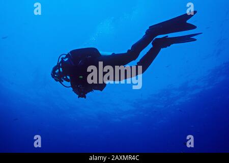 Jonathan Kingston steigt im Meer von Cortez herab. (Modell freigegeben) Stockfoto
