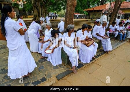 Kataragama, Sri Lanka - Januar 2020: Pilger, die am 19. Januar 2020 in Kataragama, Sri Lanka, im Kirivehara Buddhist Stupa ausruhen. Stockfoto