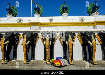 Kataragama, Sri Lanka - Januar 2020: Angebot im Maha Devale Hindu-Heiligtum von Kataragama am 19. Januar 2020 in Sri Lanka. Stockfoto