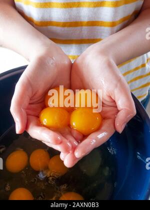 Eine junge Frau, die ein gelb-weiß gestreiftes Hemdbecher trägt, Eigelb in der Hand, bevor sie sie in die Mischschale geben, um sie zu mischen und zu kochen oder zu backen. Stockfoto