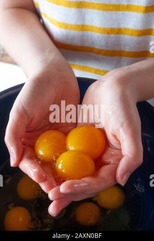 Eine junge Frau, die ein gelb-weiß gestreiftes Hemdbecher trägt, Eigelb in der Hand, bevor sie sie in die Mischschale geben, um sie zu mischen und zu kochen oder zu backen. Stockfoto