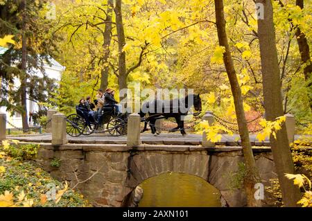 Kutsche mit Pferden und Menschen, die über die Steinbrücke im Park Sofiyivka, Uman, Ukraine, 19. Oktober 2007 fahren Stockfoto